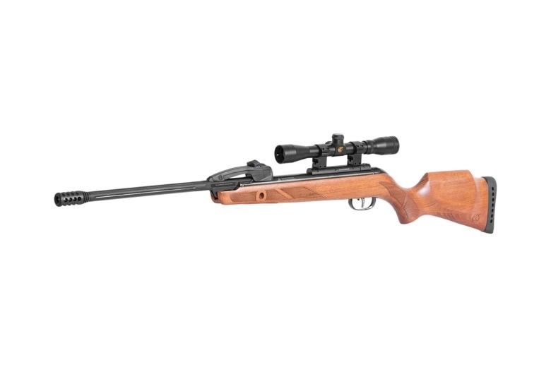 GAMO LG FAST SHOT 10x WOOD INCL 4x32WRH CA 5.5
