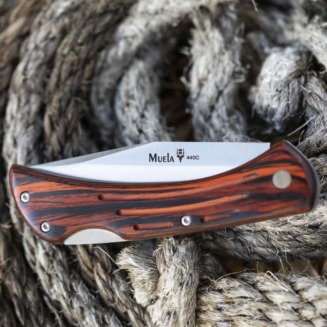 MUELA ARTISAN KNIFE 95MM BLADE LENGHT BURNT WOOD HANDLE - Image 4