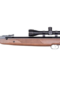 Weihrauch HW95 Luxus .22 air rifle