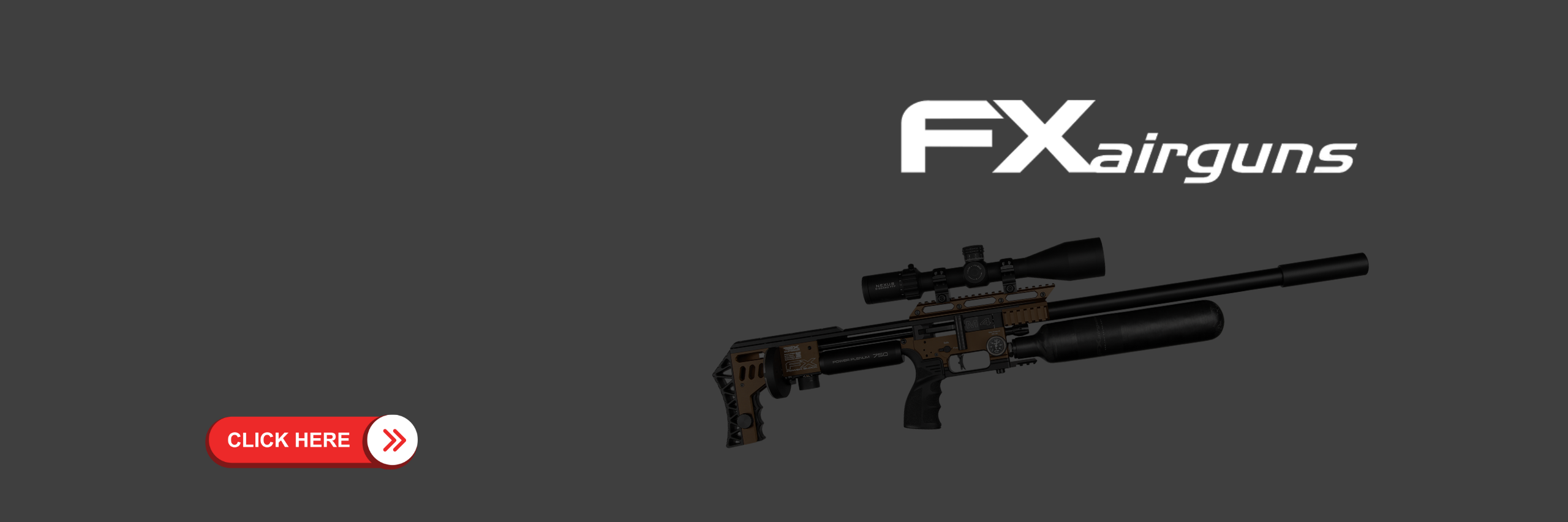 FX AIRGUNS