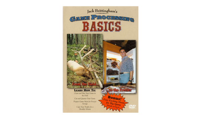 DVD GAME PROCESSING BASICS-02332