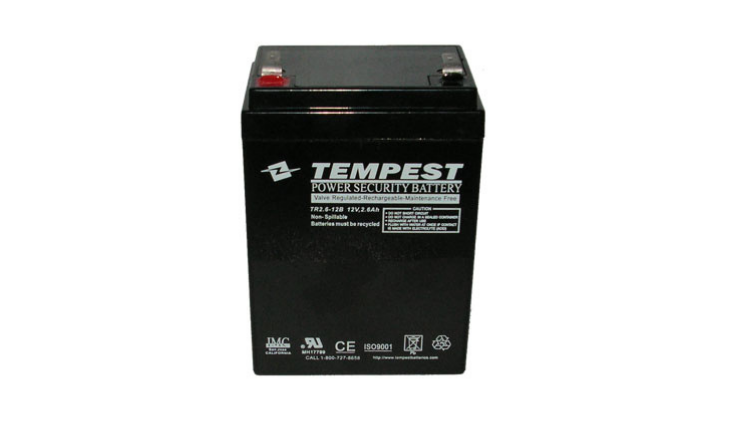 BRINKMANN 12V BATTERY MXML RECHARGBLE-802-2655-0