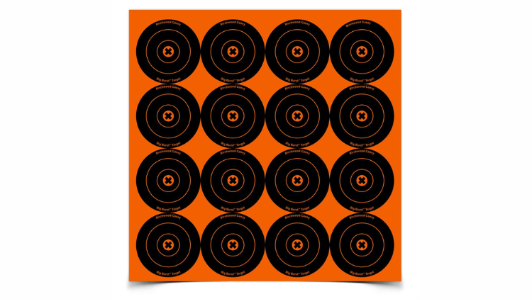 BIRCHWOOD TARGET BIG BURST 48-3″SIGHT-36348